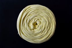   Plfonal 600-700g srga