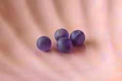   svnygyngy 8mm Ametiszt